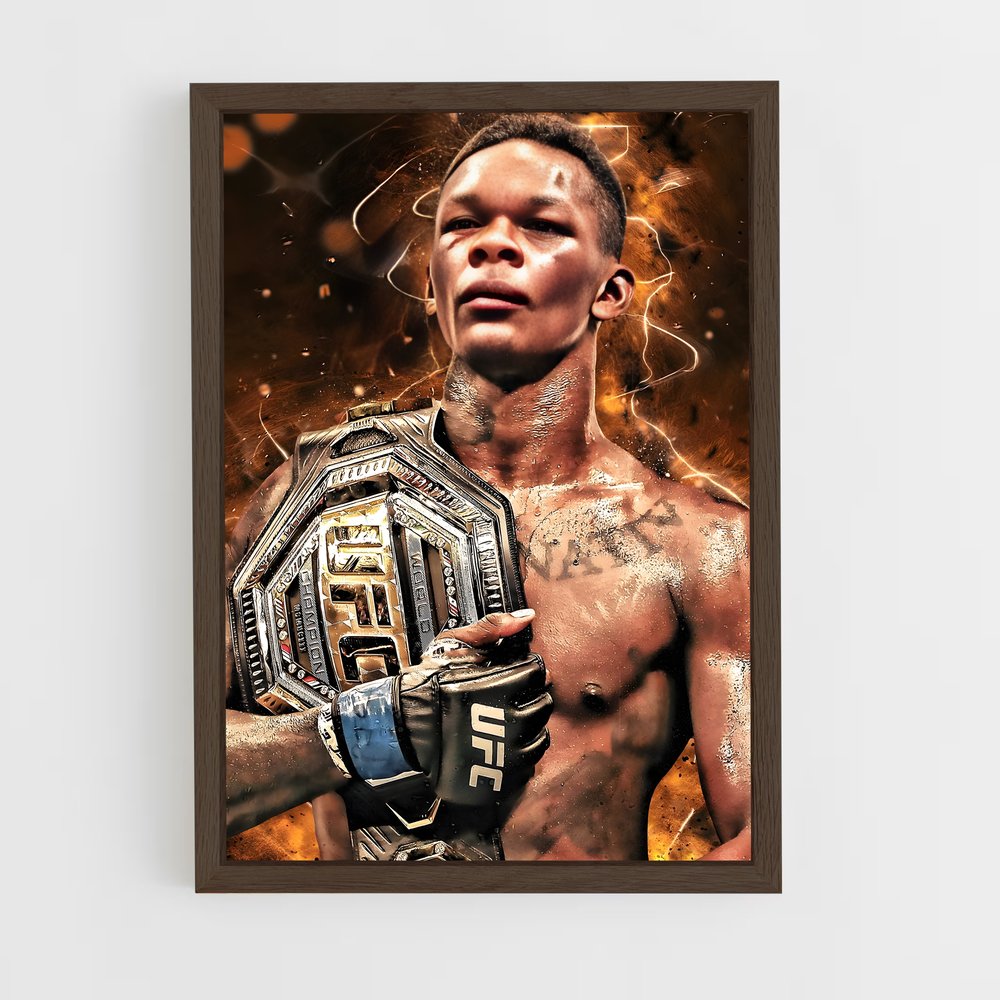 Poster The WWE Champion – affiche MMA (vue 5)